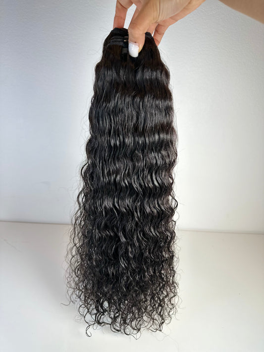Vietnamese curly