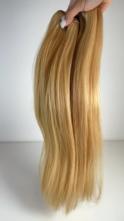 Virgin Vietnamese hair #27